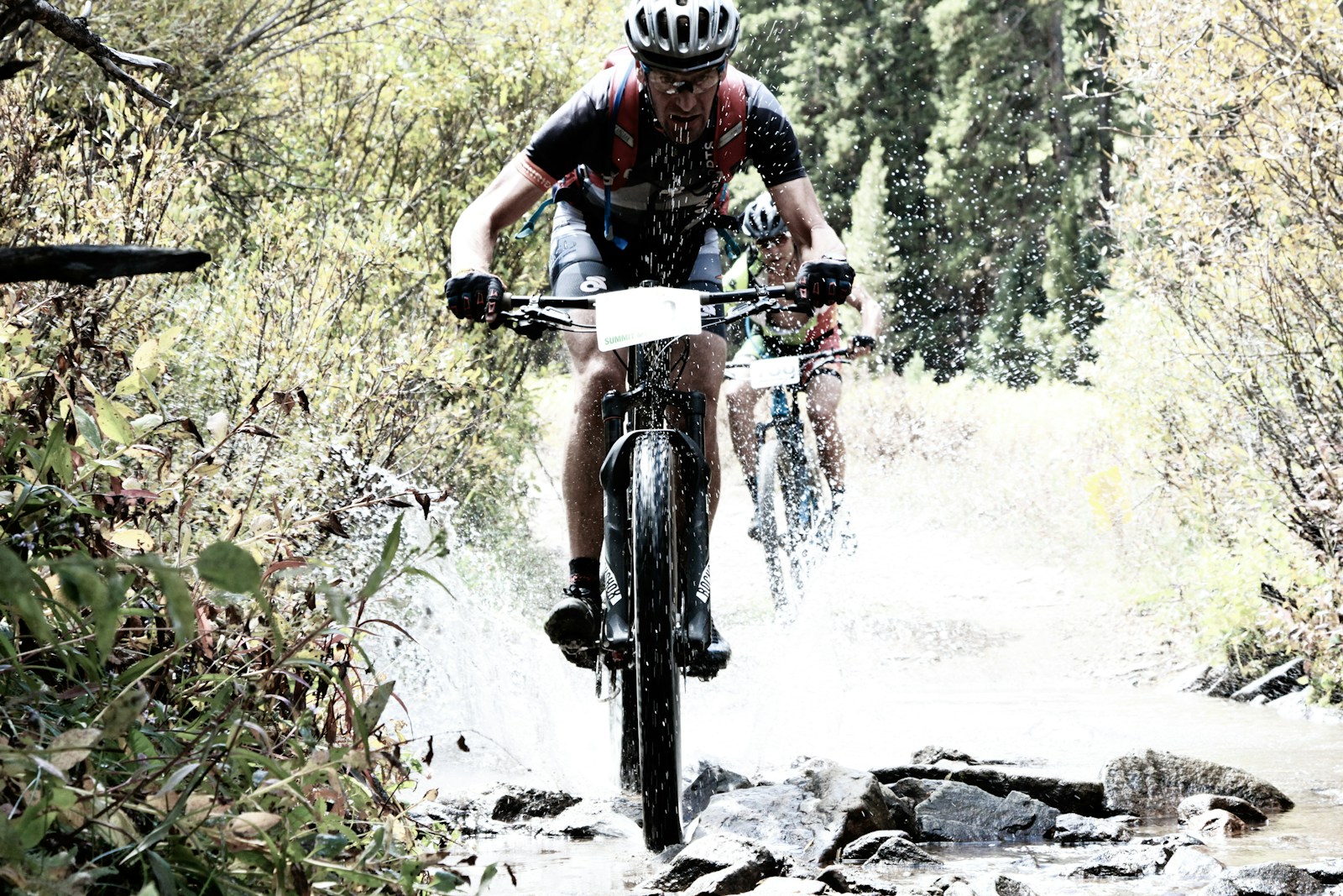 Mountain bike nella natura